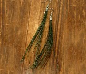 Peacock Feather Earrings