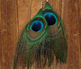 Peacock Feather Earrings